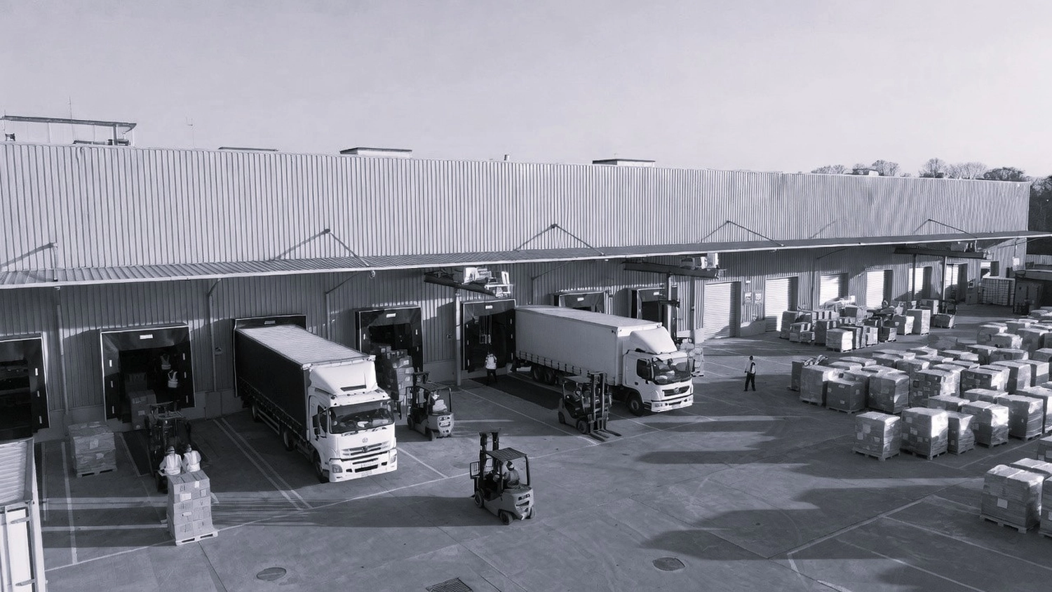 CMD Sicherheit Dienstleistungen GmbH & Co. KG – Logistikmanagement